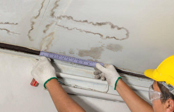 Reliable Structural Drying contractor in Linwood, MI by Water Damage Irwin